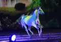 Apassionata_2014    007